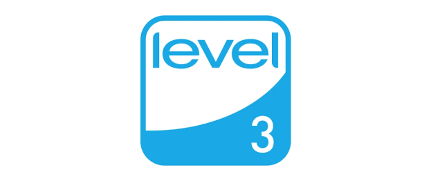 FEMB LEVEL 3