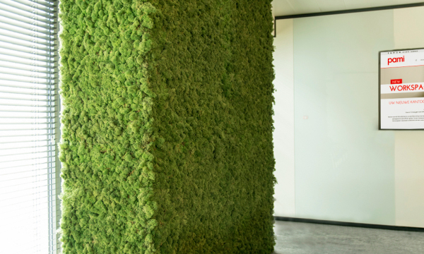 Biophilic design image