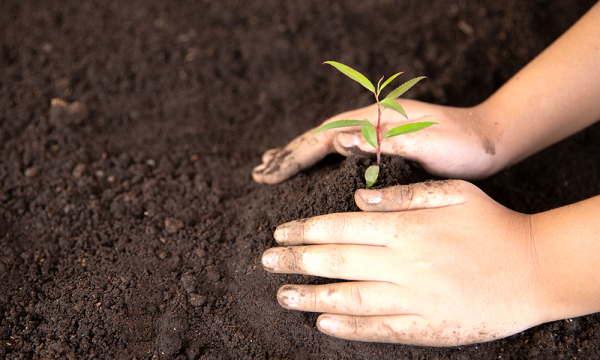 Waarom Pami maatschappelijk verantwoord onderneemt image